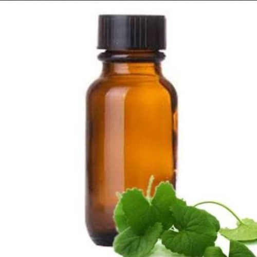 Gotu Kola - Extracto