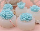 Molde Suculenta _ No. 111