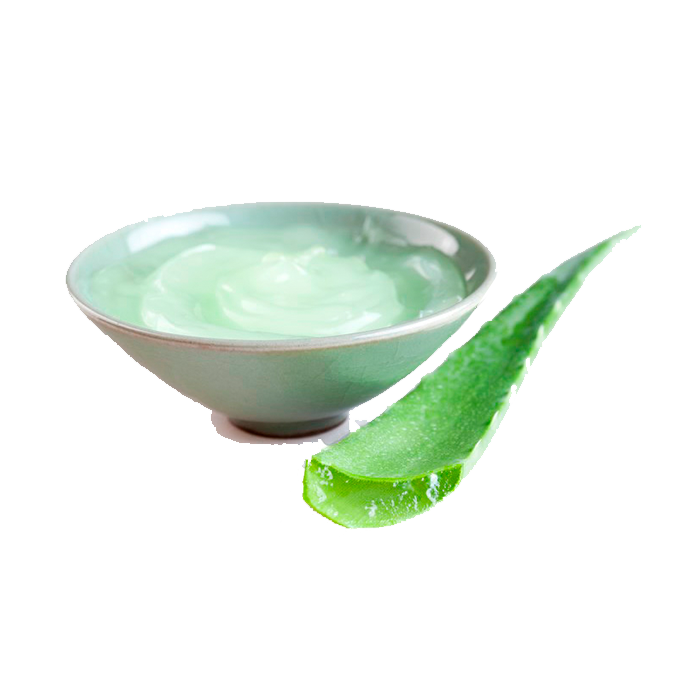 Aloe Vera - En Polvo