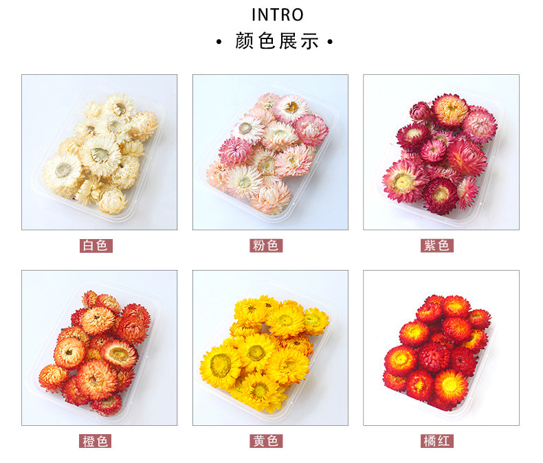 Flores Deco - Rosada