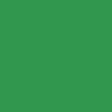 Colorante Anilina Polvo - Verde Perico