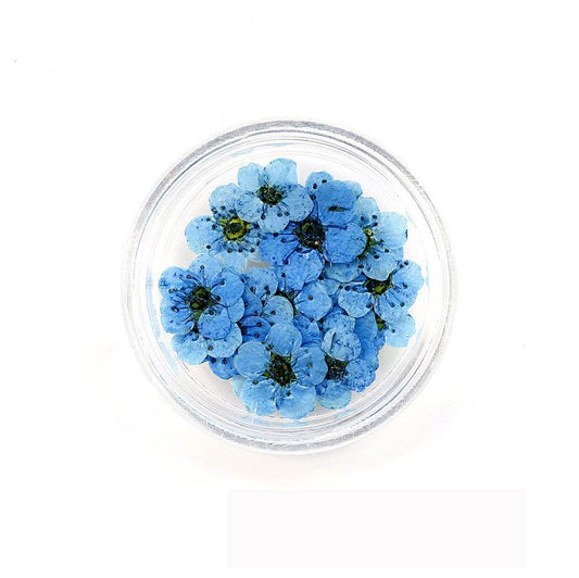 Florecitas Deco - Azul