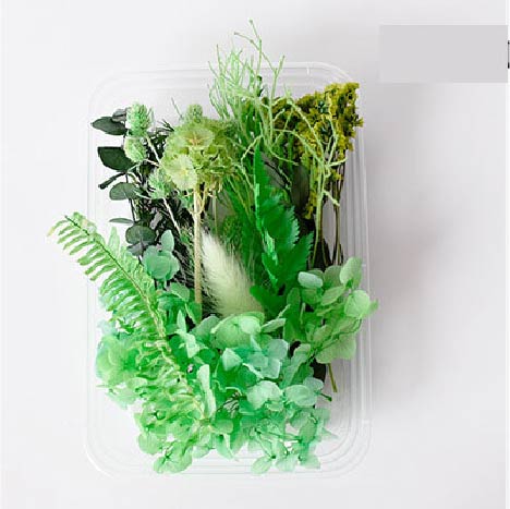 Tallos Deco - Verde