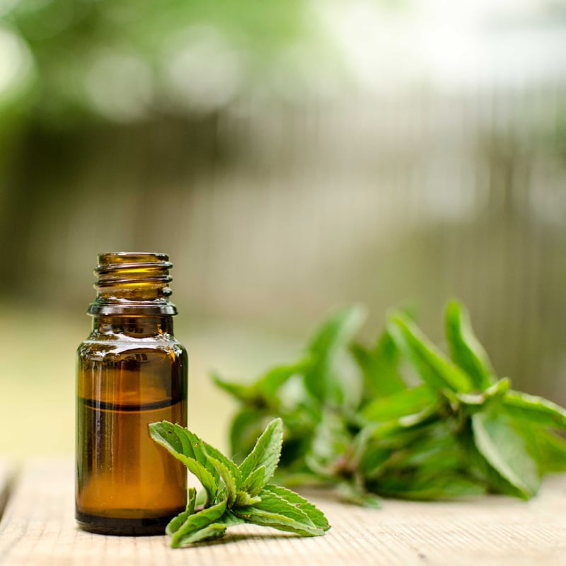 Menta Verde Hierbabuena - Aceite Esencial