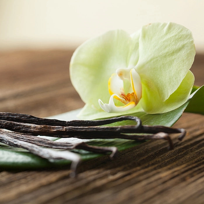 Vainilla Lace - Fragancia Cosmeticos