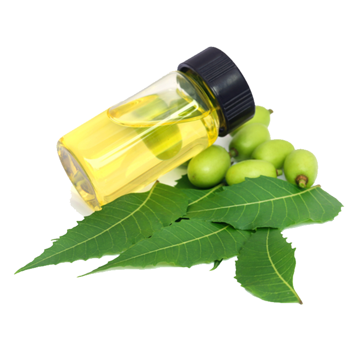 Neem - Aceite