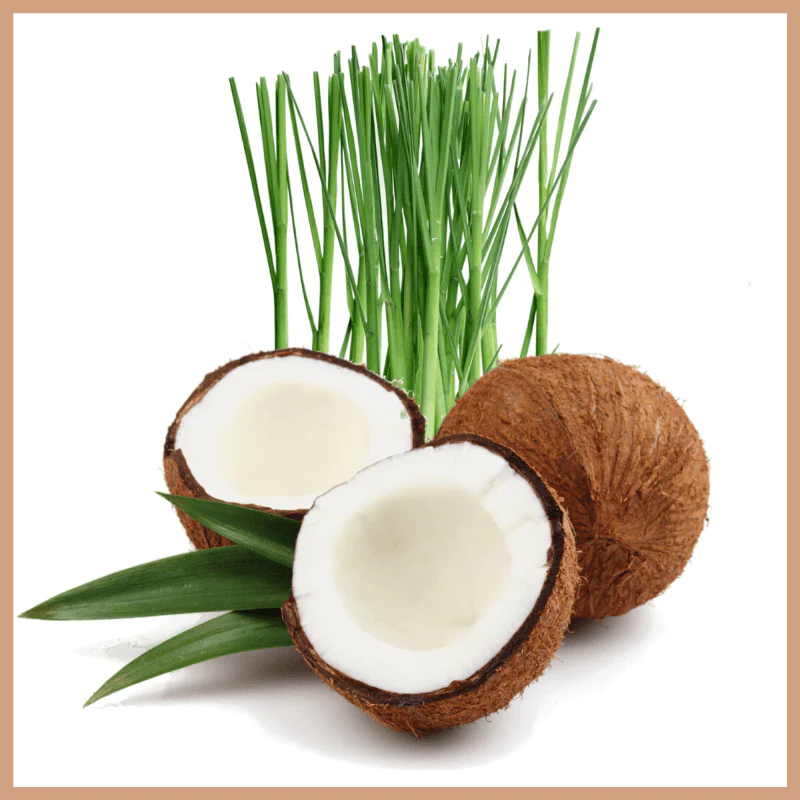 Coco Limon - Fragancia