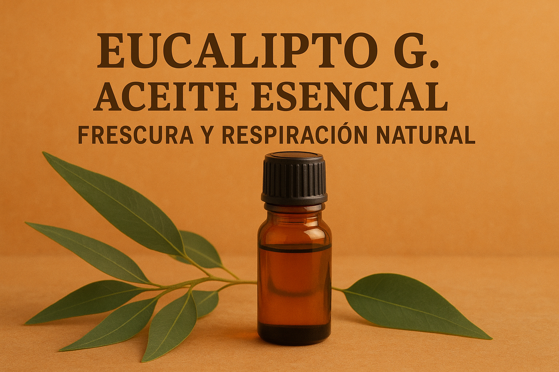 Eucalipto G. - Aceite Esencial FG: Frescura y Respiración Natural