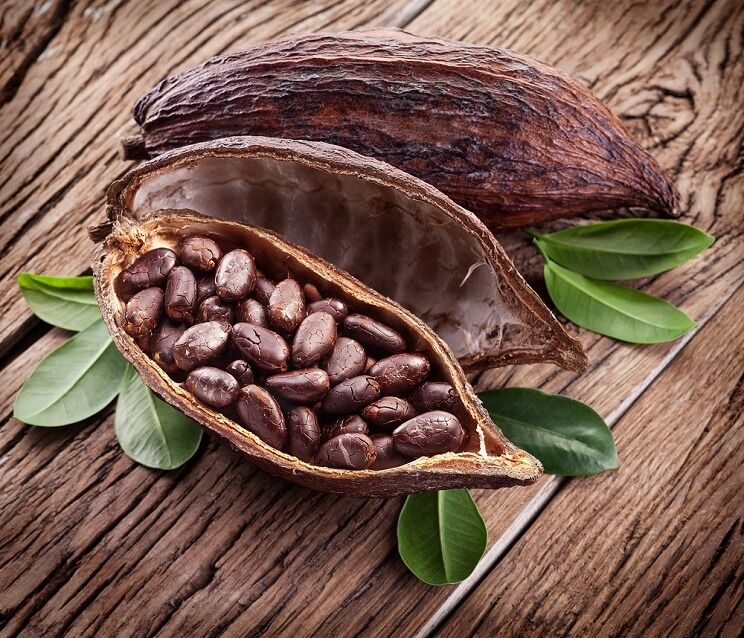 El Tesoro de Guatemala: Descubriendo el Mejor Cacao del País