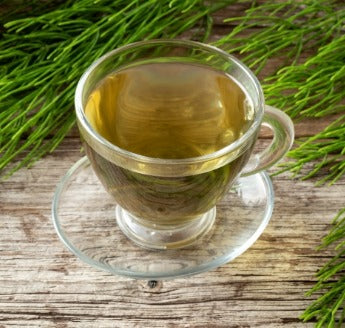 Cola de Caballo - Extracto