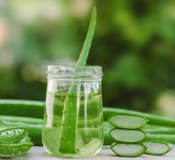 Aloe Vera - Extracto
