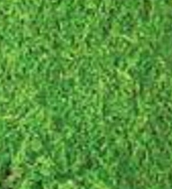 Verde Perico - Colorante Anilina Polvo Supra