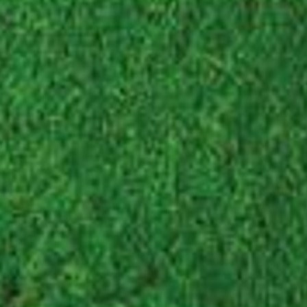 Verde Oscuro - Colorante Anilina Polvo Supra