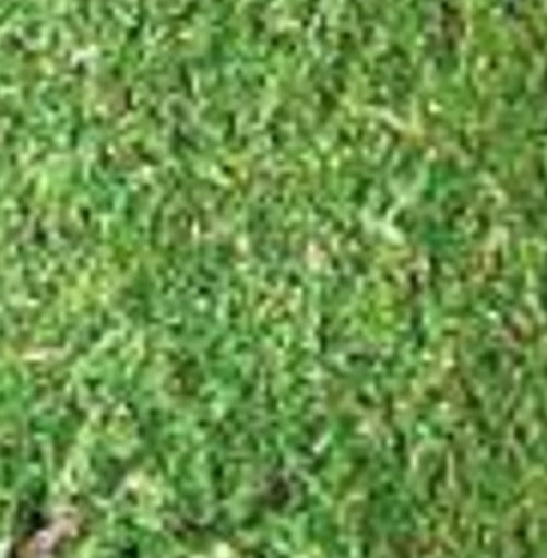 Verde Grama - Colorante Anilina Polvo Supra