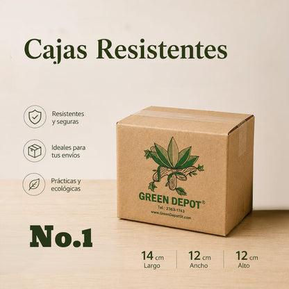 Caja de Carton N.1 - 14 cms x 12 cms x 12 cms