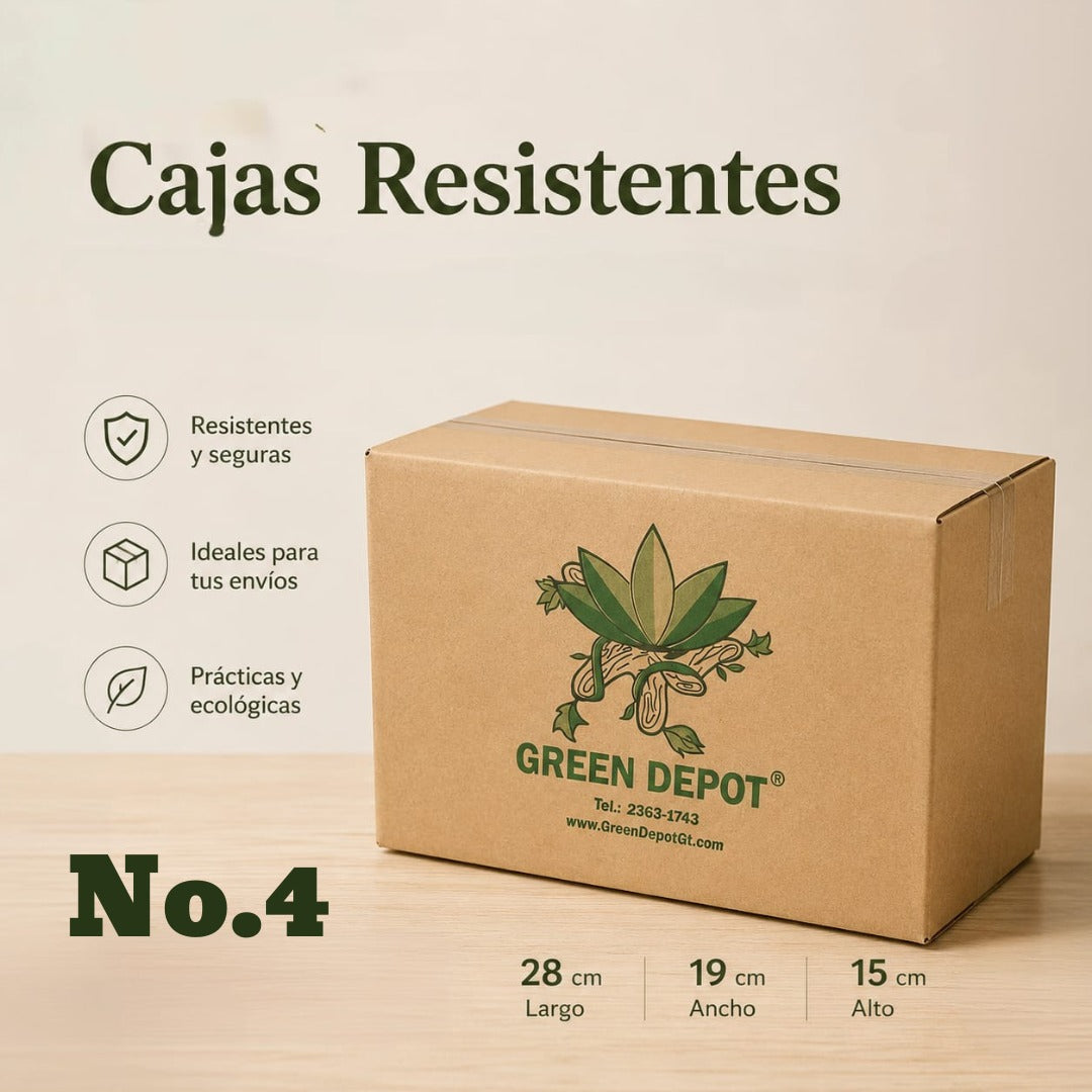Caja de Carton N.4 - 28cm x 19cm x 15cm