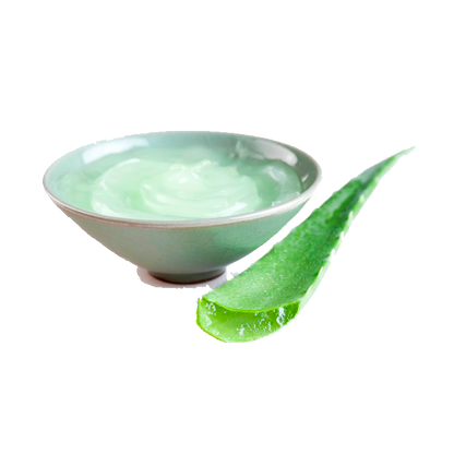 Aloe Vera - Extracto