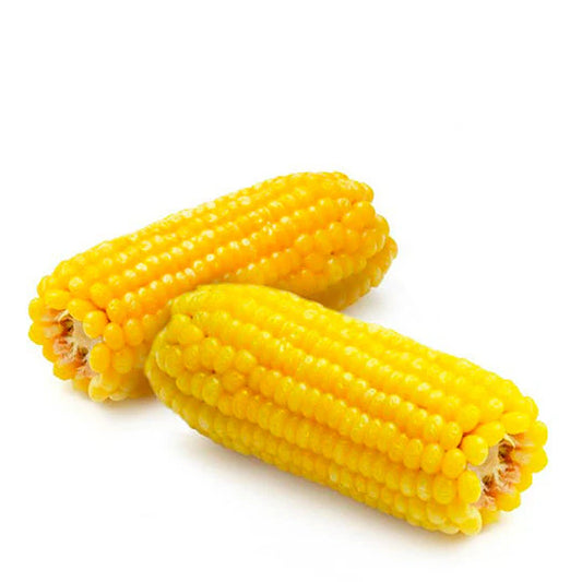 Elote - Saborizante en polvo