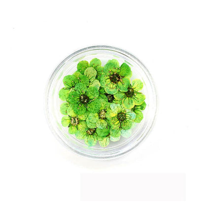 Florecitas Deco - Verde