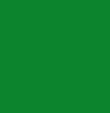 Colorante Grasa Polvo Verde