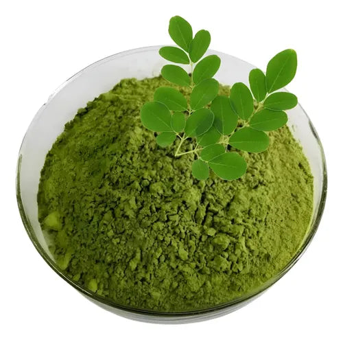Moringa - en polvo