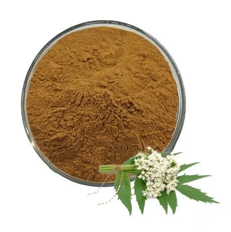 Valeriana - en polvo